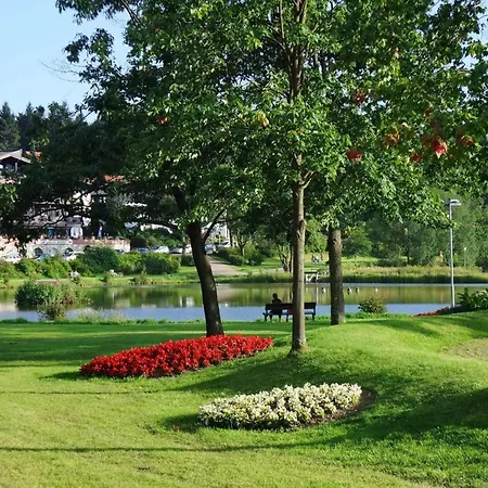Apartment Harzfewo Koehnke 4 Goslar