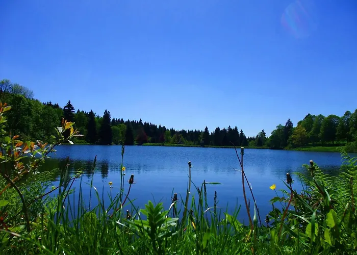 Appartement Harzfewo Koehnke 4 *