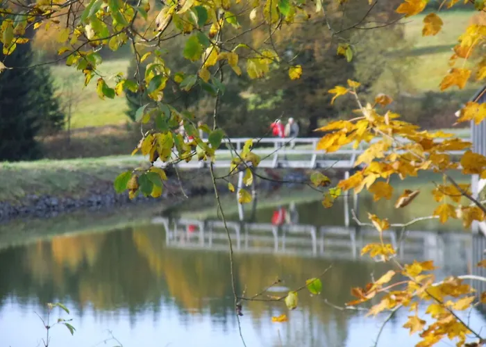 Harzfewo Koehnke 4 * Goslar